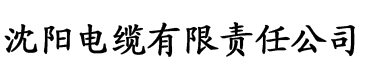 抖阴苹果破解版电缆厂logo